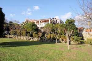 garden1