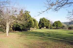 garden3