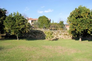 garden4