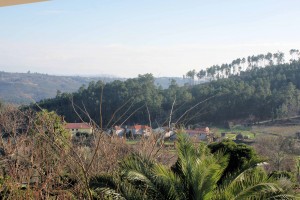view1