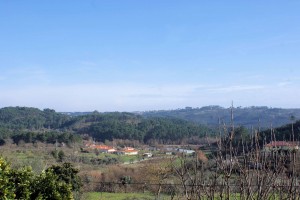 view2