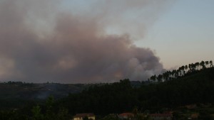 Blog6