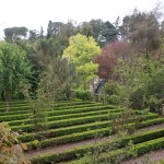 Image for First guests of the year arrive
