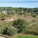 Image for New view from the Quinta