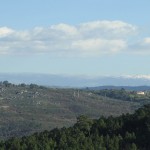 Image for Rain and More Rain