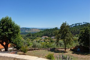 View from the Pool