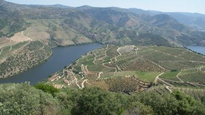 Alta Douro 1