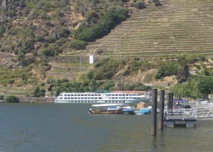 Douroboat1