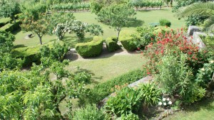 Garden view2