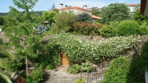Garden view 3