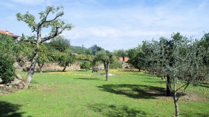 Lower terrace