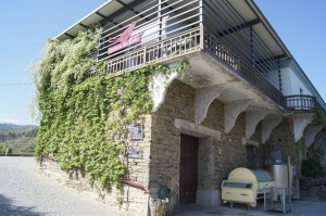 Quinta Do Tedo