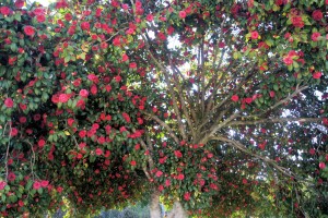 Spring2