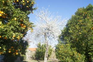 Spring6