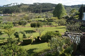 Our garden in the Spring
